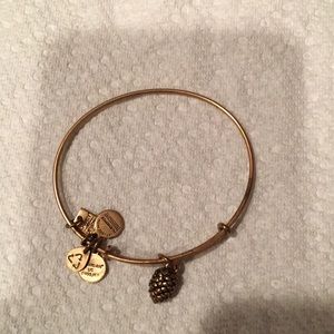 Alex and Ani pine cone bracelet